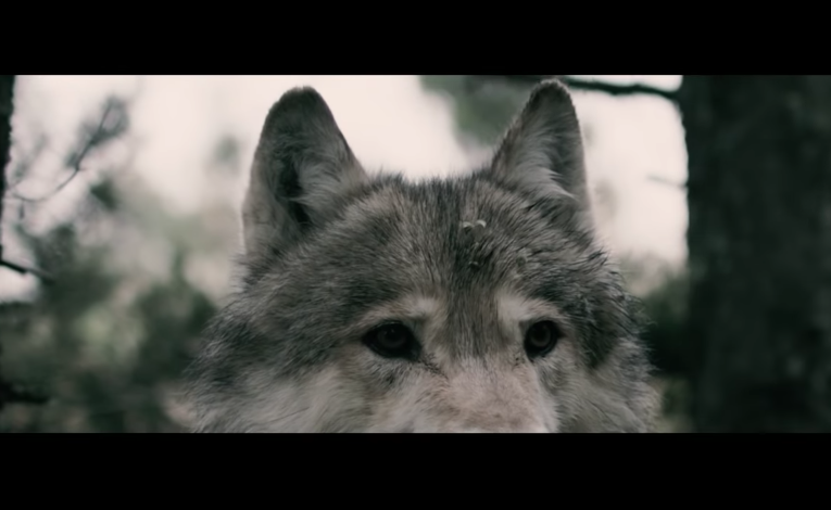 Behemoth Wolves ov Siberia
